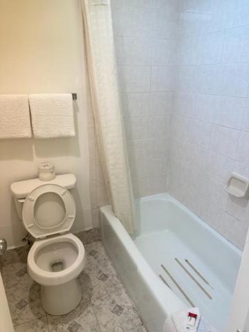 Executive Inn Mercedes Weslaco Εξωτερικό φωτογραφία